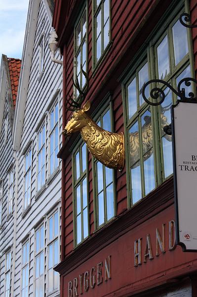 292-Bergen,25 agosto 2011.JPG